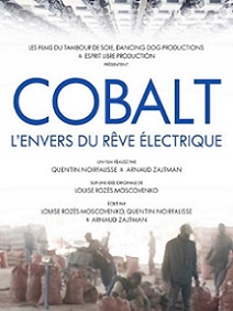 Cobalt : L'envers du rêve électrique- dvd | Zajtman, Arnaud